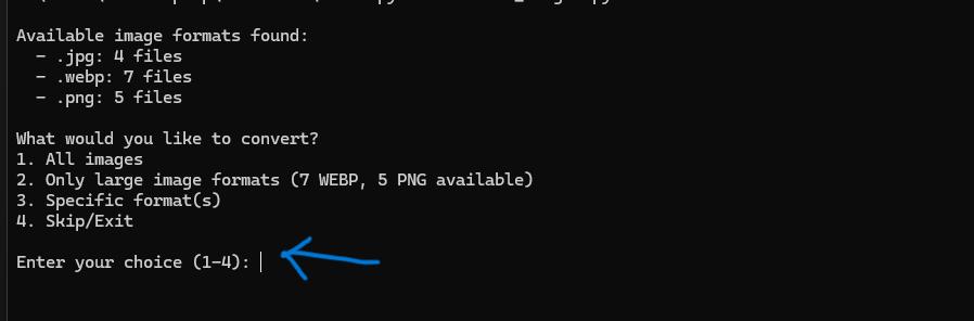 Terminal interactive menu showing format selection and conversion options  