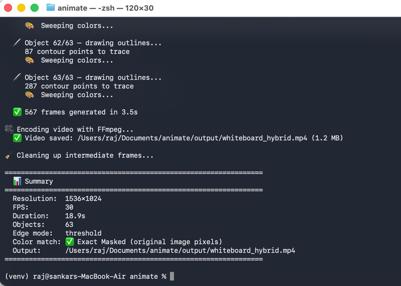 Running the animate.py script from the terminal